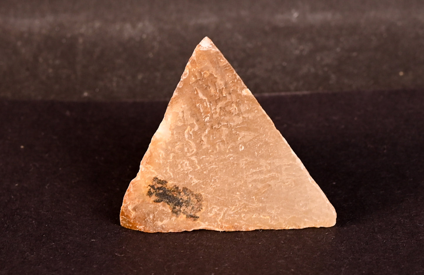 Brasilien Polygonal Größe S (35mm - 50mm)
