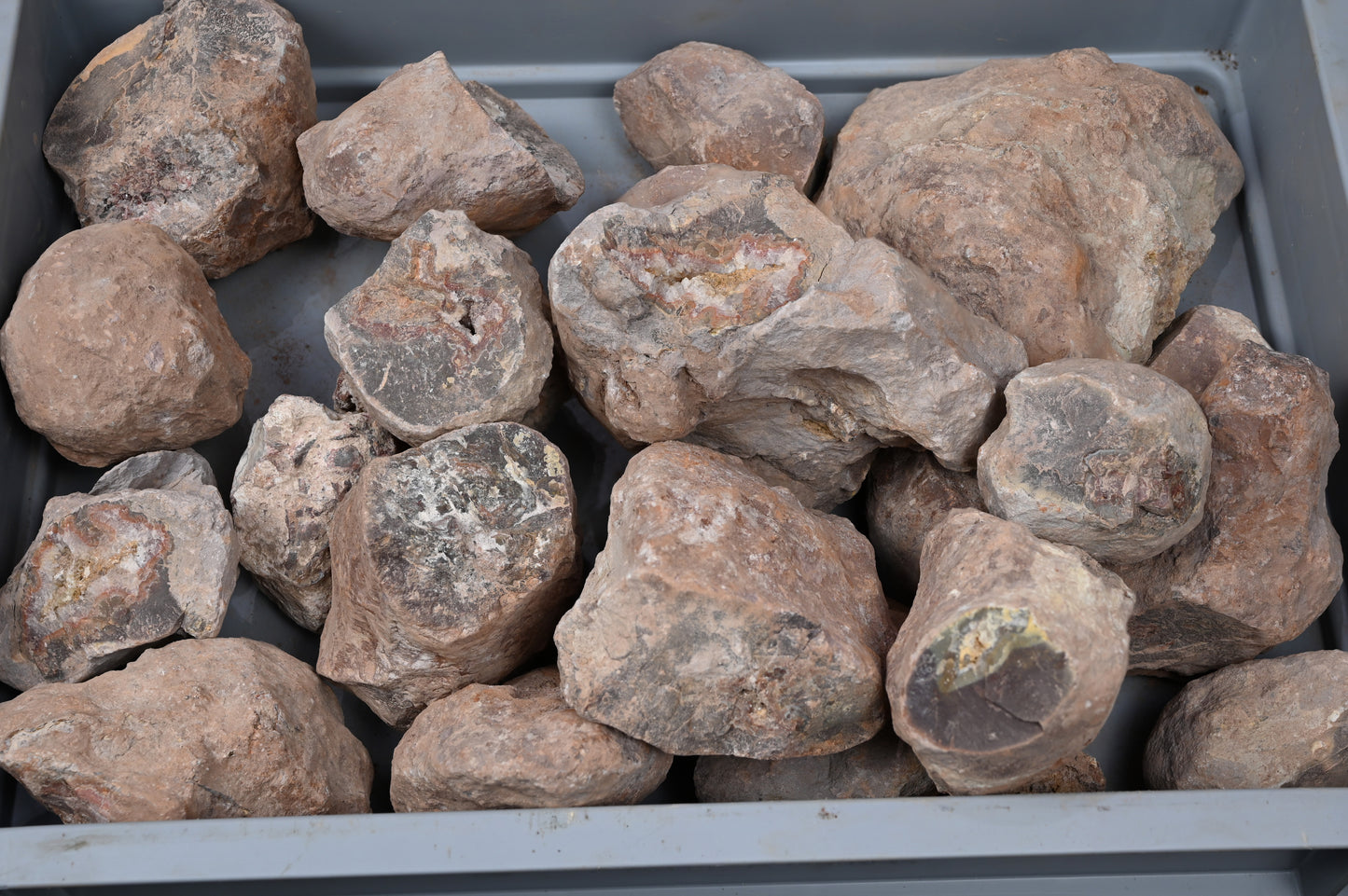 5kg Rohachate Dryhead von USA