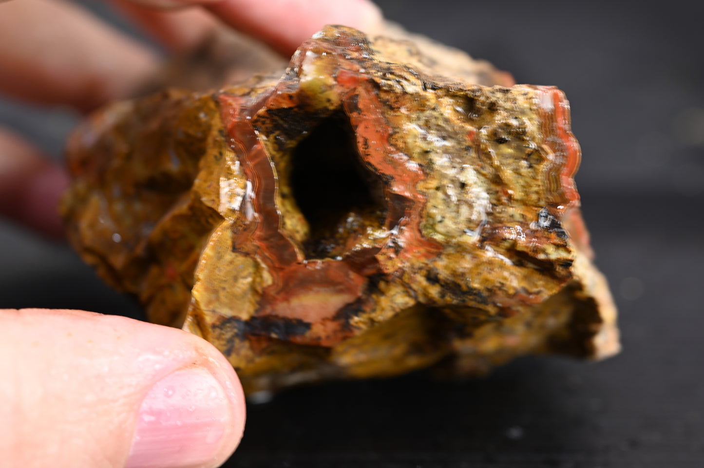 Türkisches Achatisiertes Holz für 20€ pro Stück