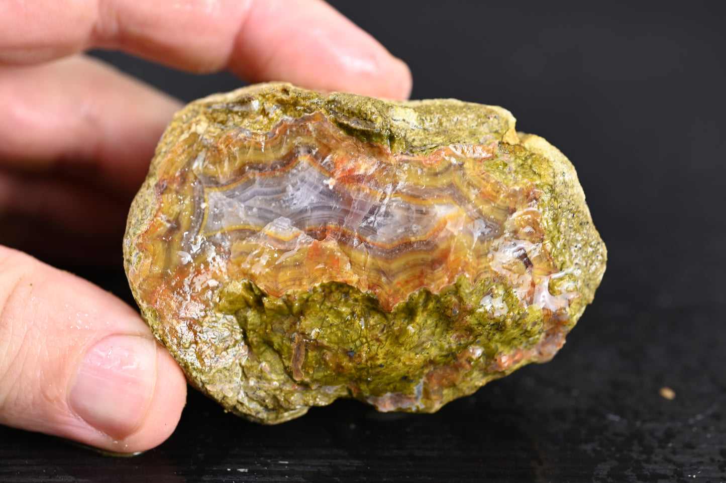 Türkisches Achatisiertes Holz für 50€ pro Stück