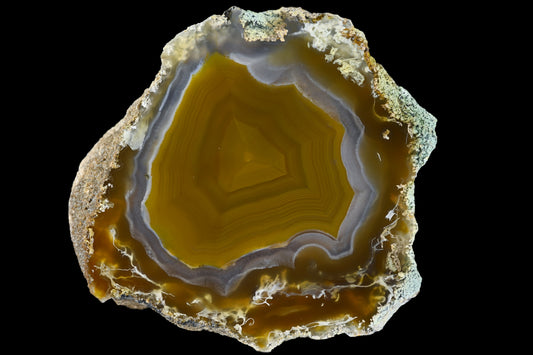 Mongolei