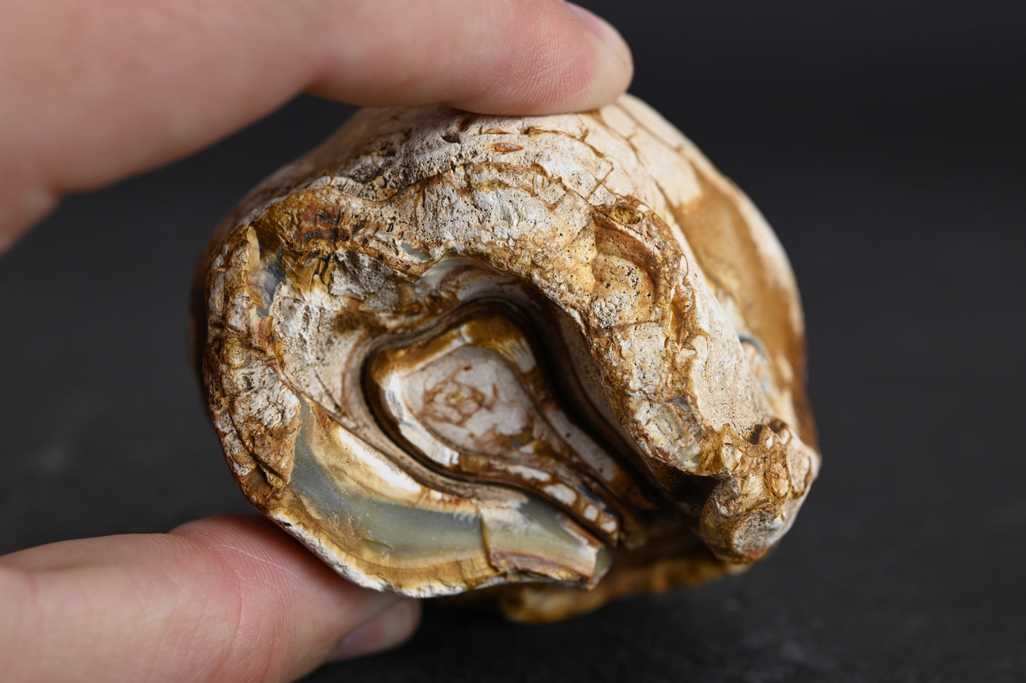 Island Agate