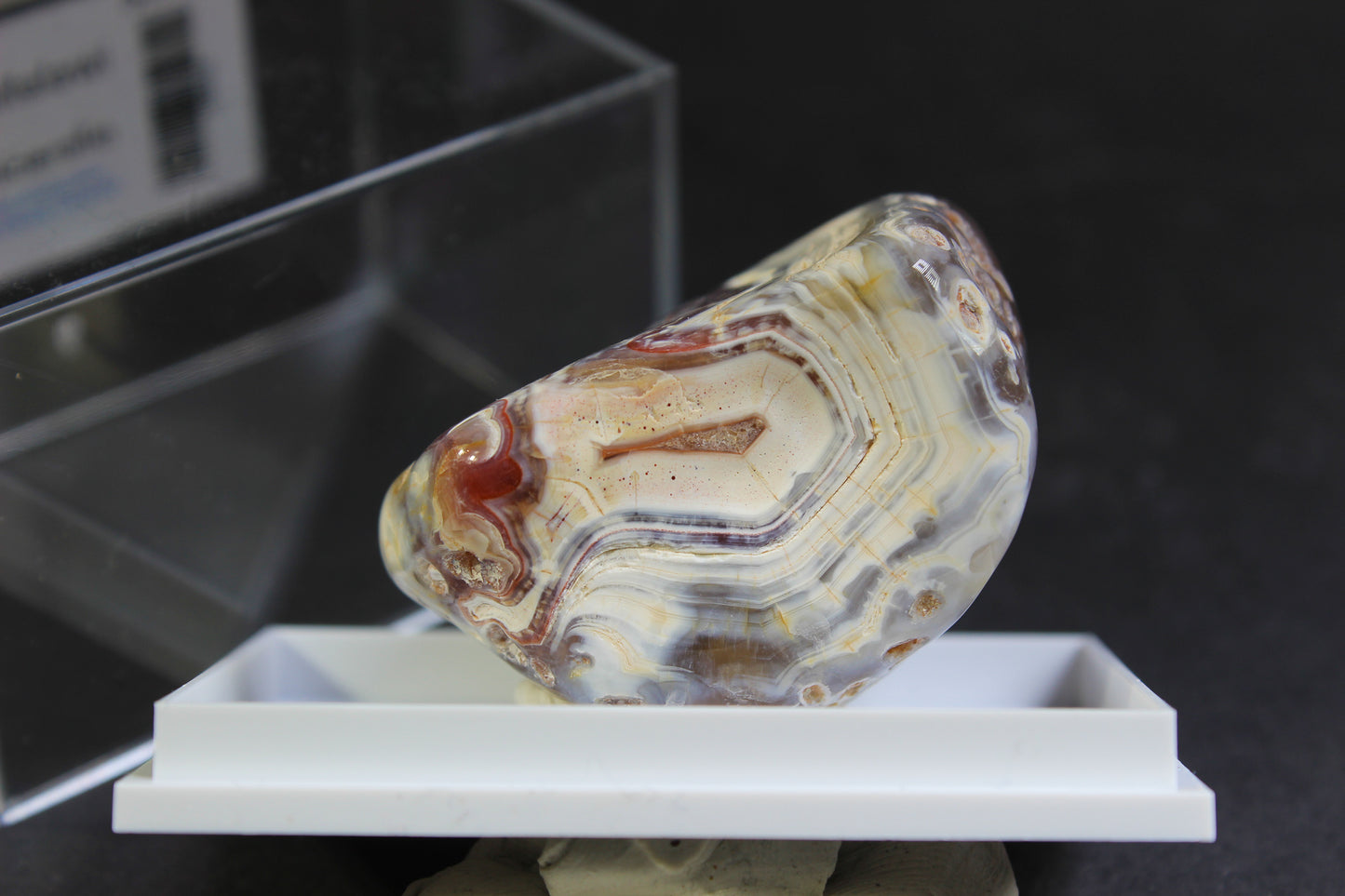Trommelstein 5€