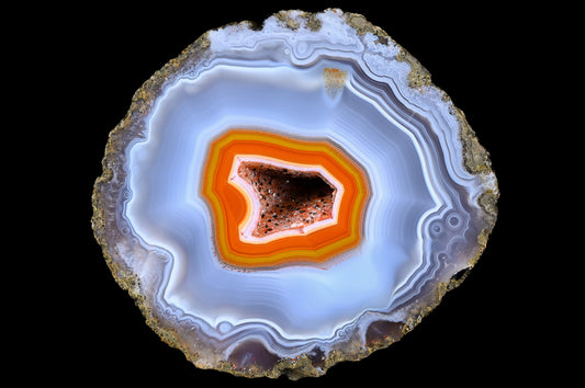 Wie alles begann + Letzte Live Show!