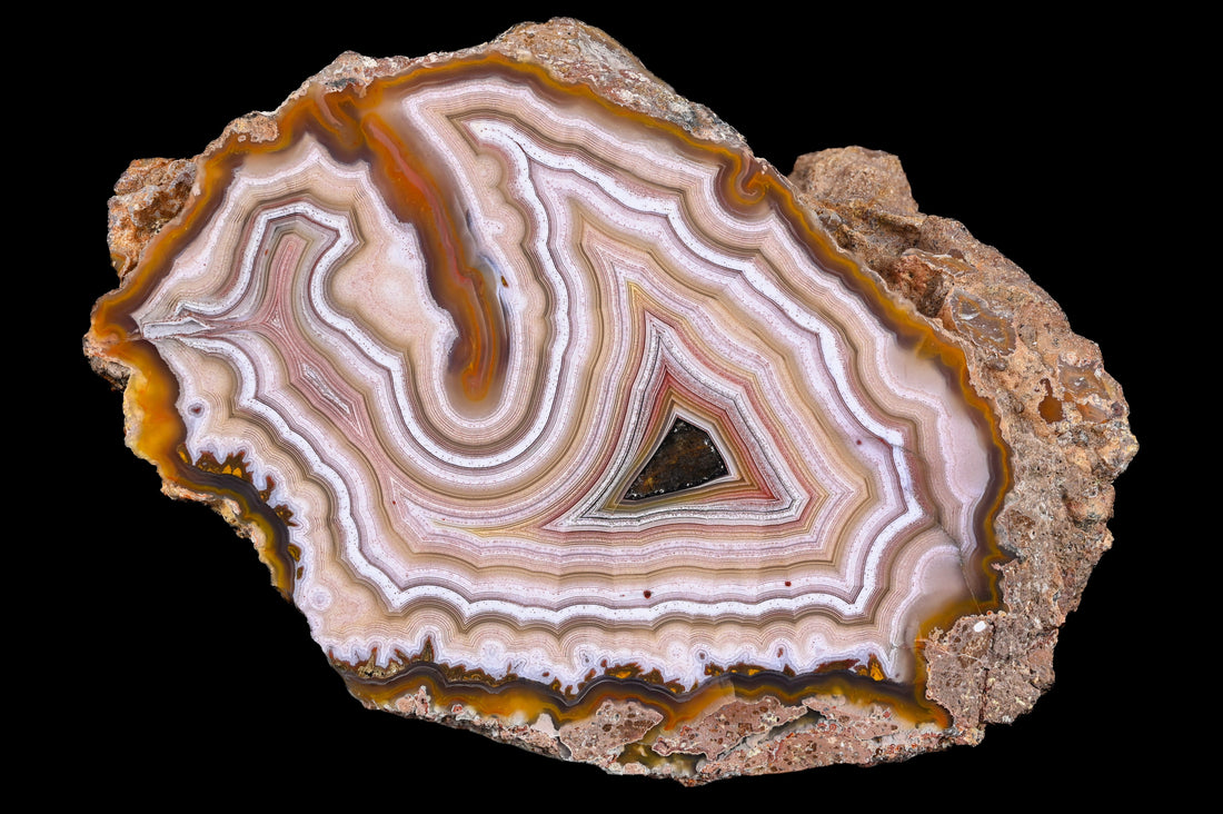 Black Friday Rabatte + Recuts