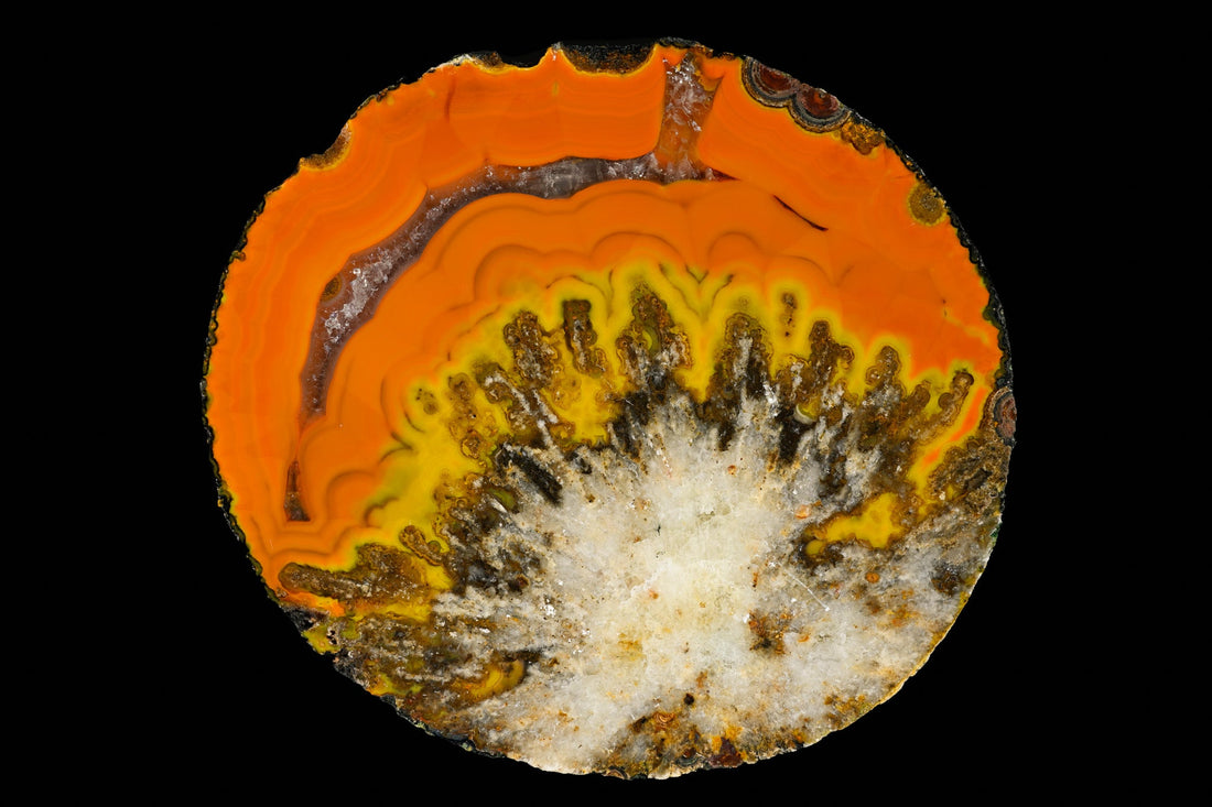 Explosiver Start ins neue Jahr!