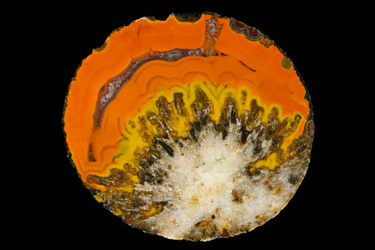 Explosiver Start ins neue Jahr!