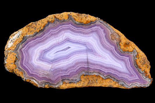 Weihnachtskalender + Coyamito Achate