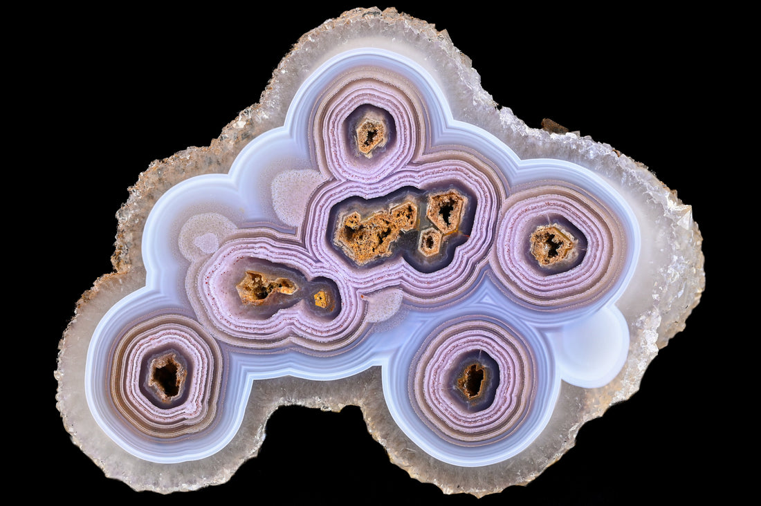 Alte und neue Top Coyamitos!