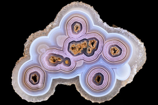 Alte und neue Top Coyamitos!