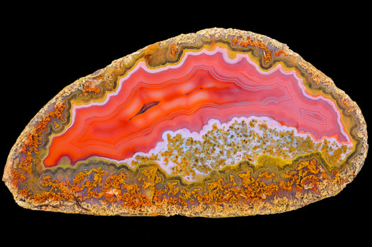 Türkei + Parpart Sammlung