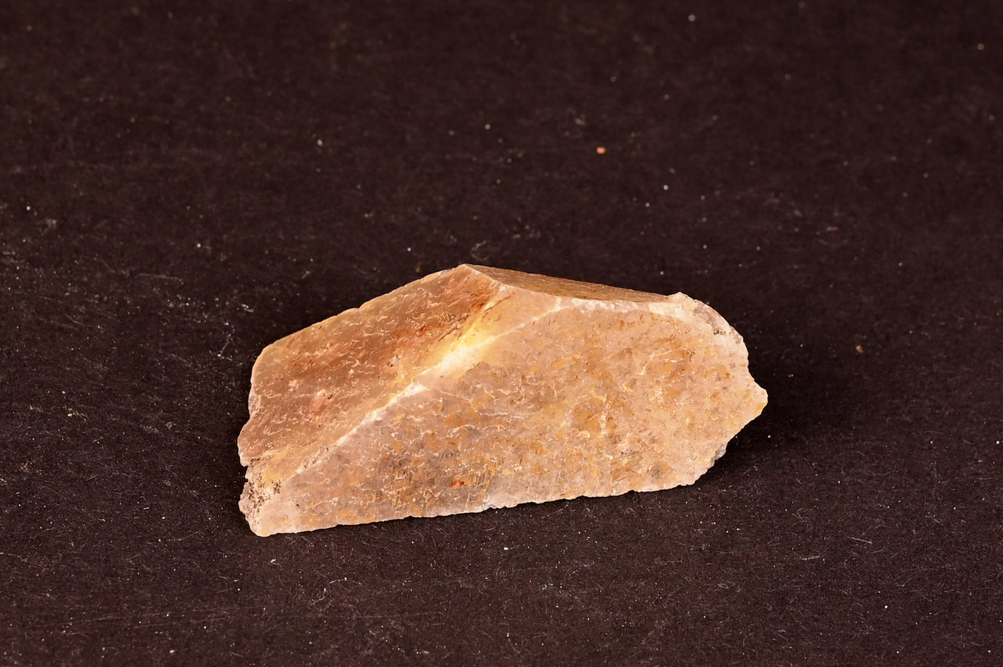 Brasilien Polygonal Größe M (45mm - 90mm)