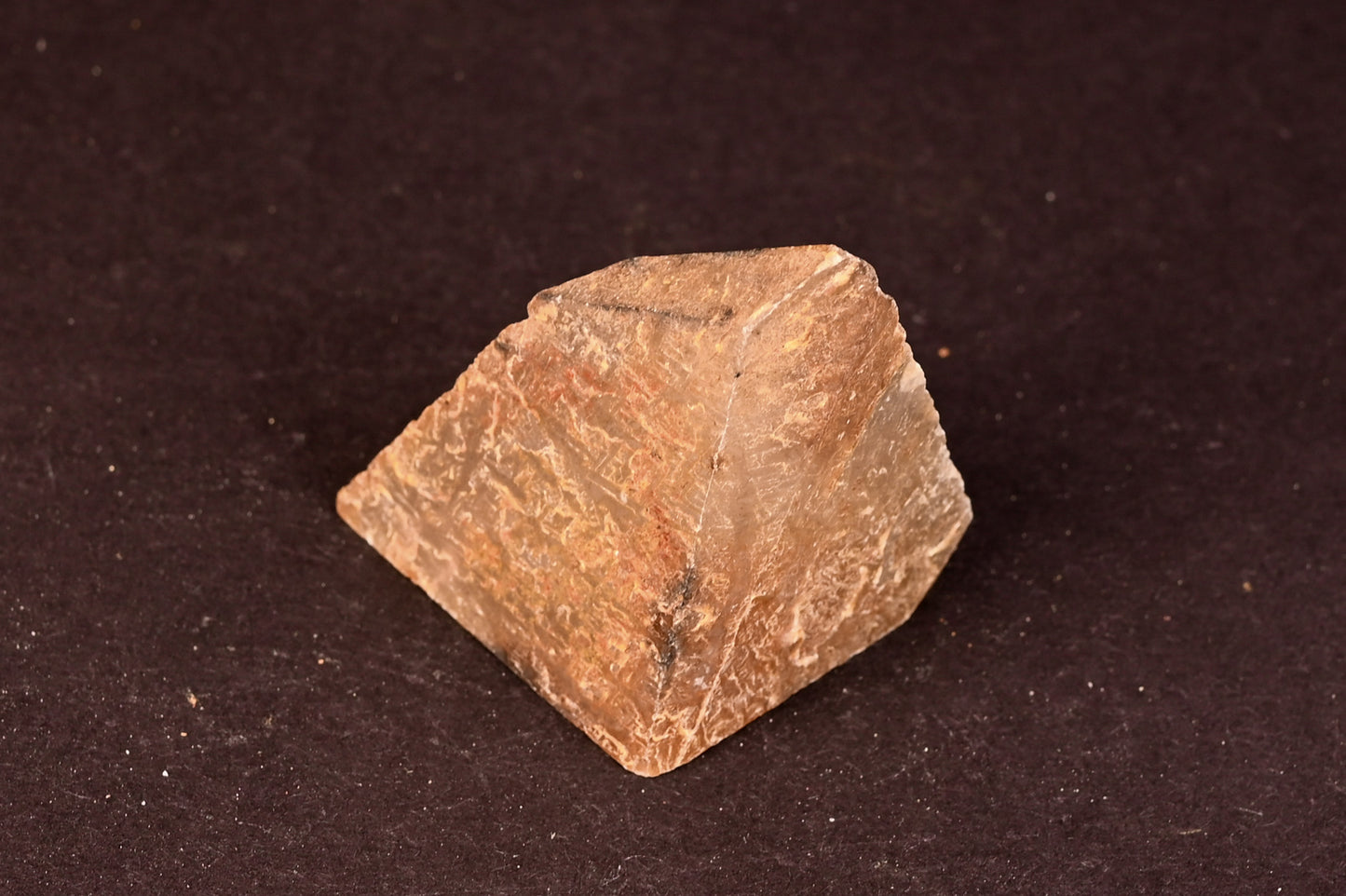 Brasilien Polygonal Größe M (45mm - 90mm)
