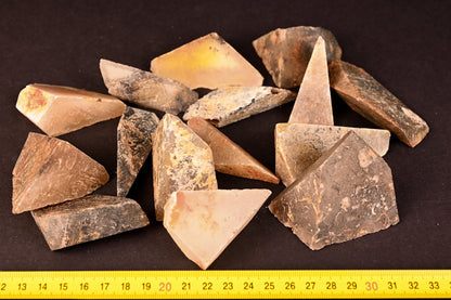 Brasilien Polygonal Größe M (45mm - 90mm)