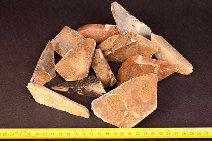 Brasilien Polygonal Größe L (75mm - 120mm)