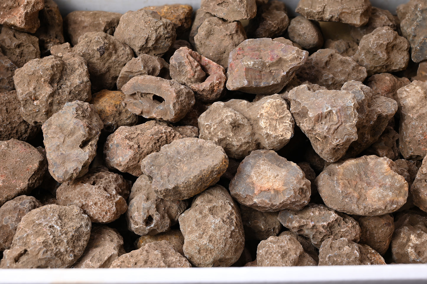 Rohachate Gambiri XL Malawi