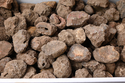 Rohachate Gambiri XL Malawi