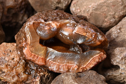 Rohachate Gambiri XL Malawi