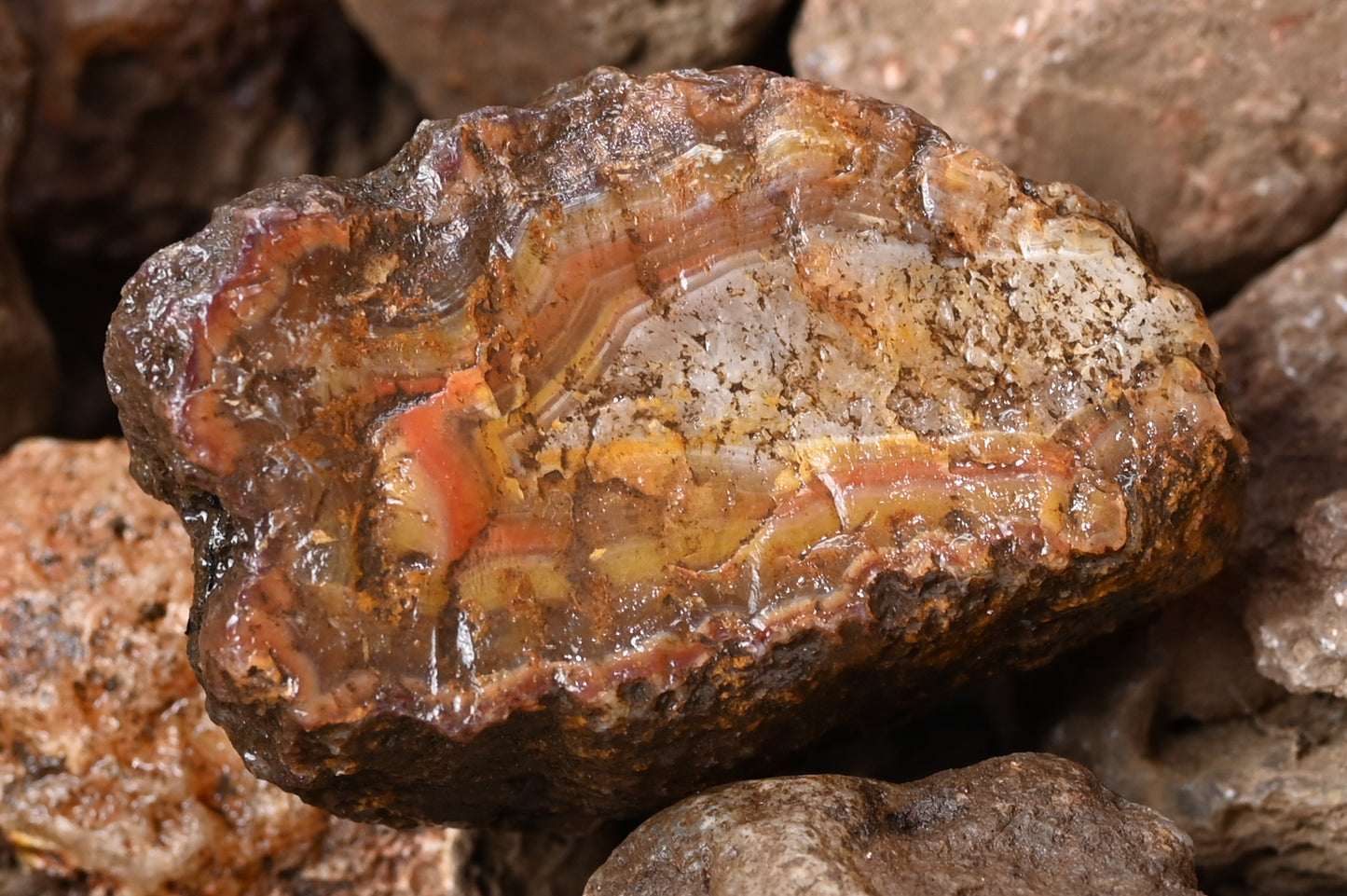 Rohachate Gambiri XL Malawi