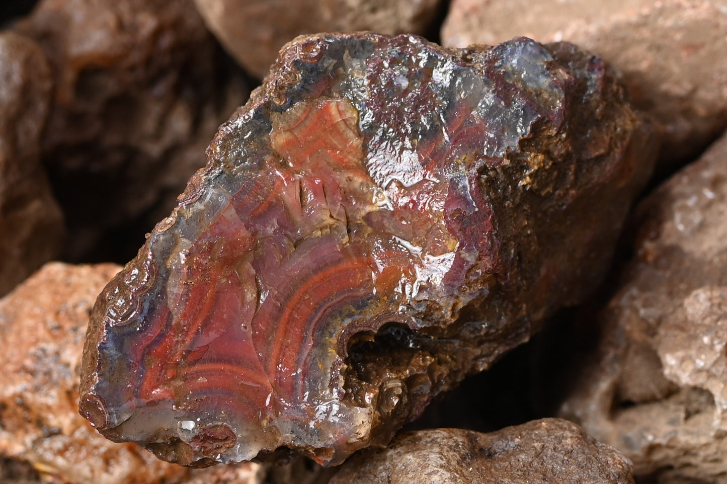 Rohachate Gambiri XL Malawi