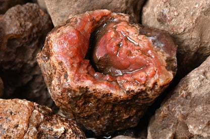 Rohachate Gambiri XL Malawi