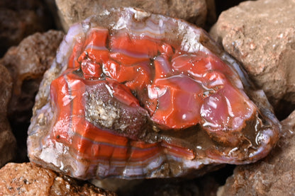 Rohachate Gambiri XL Malawi