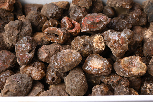 Rohachate Gambiri XL Malawi