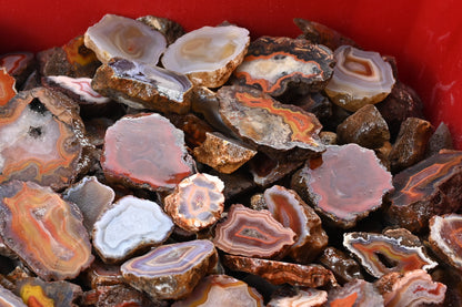Malawi Mix Geschnitten