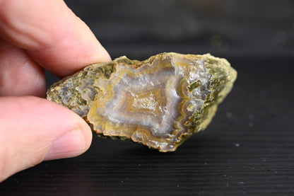 Türkisches Achatisiertes Holz für 20€ pro Stück