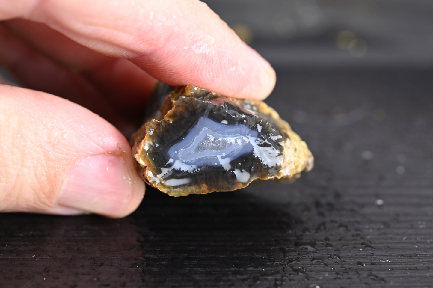 Türkisches Achatisiertes Holz für 20€ pro Stück