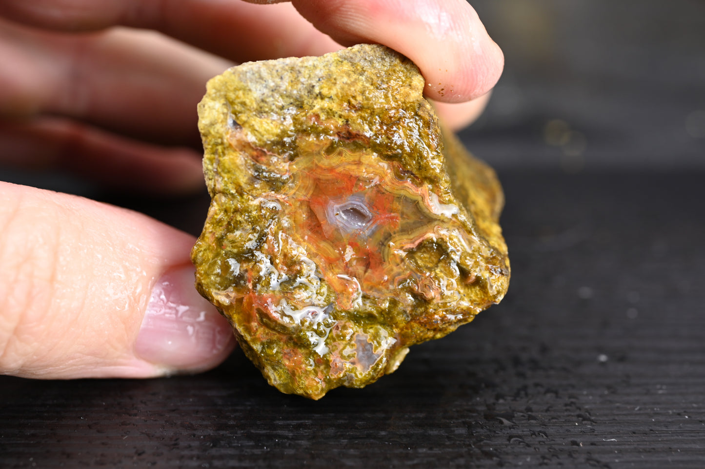 Türkisches Achatisiertes Holz für 20€ pro Stück