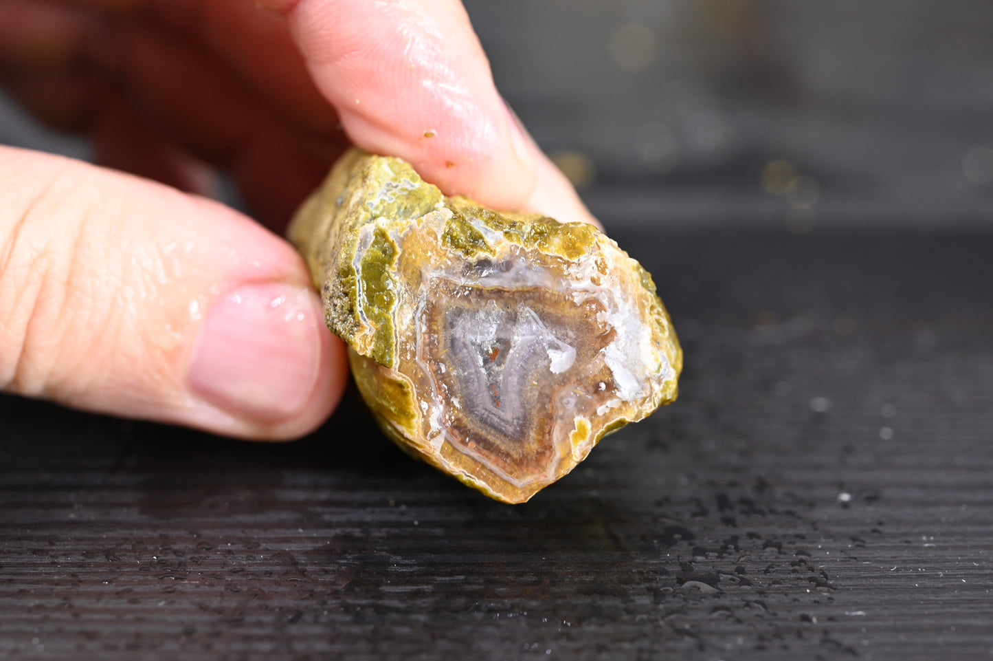 Türkisches Achatisiertes Holz für 20€ pro Stück