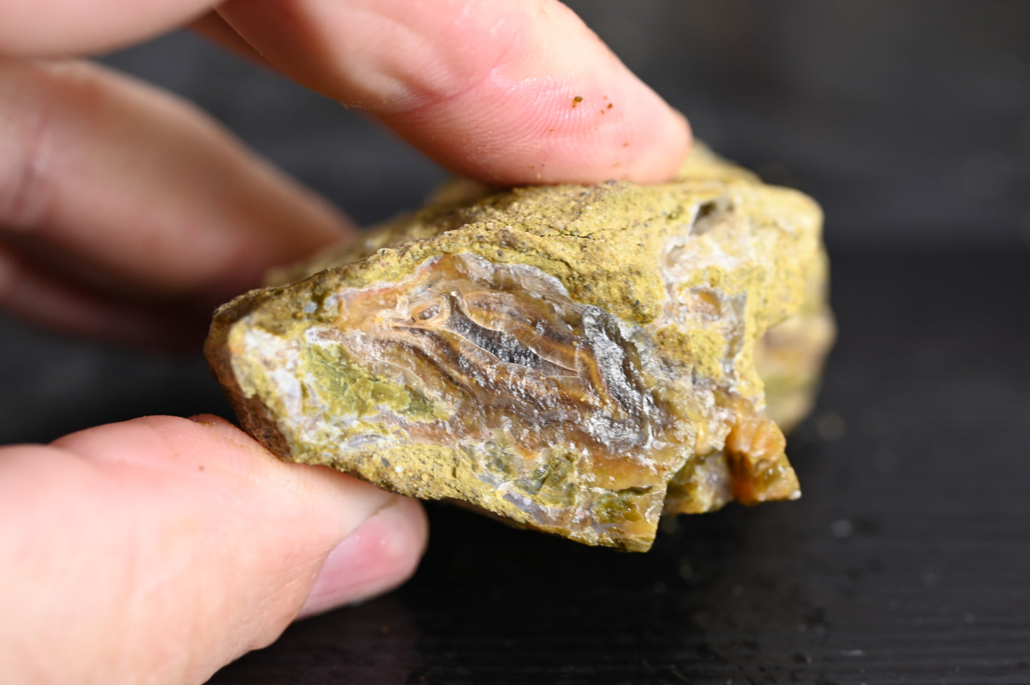 Türkisches Achatisiertes Holz für 20€ pro Stück