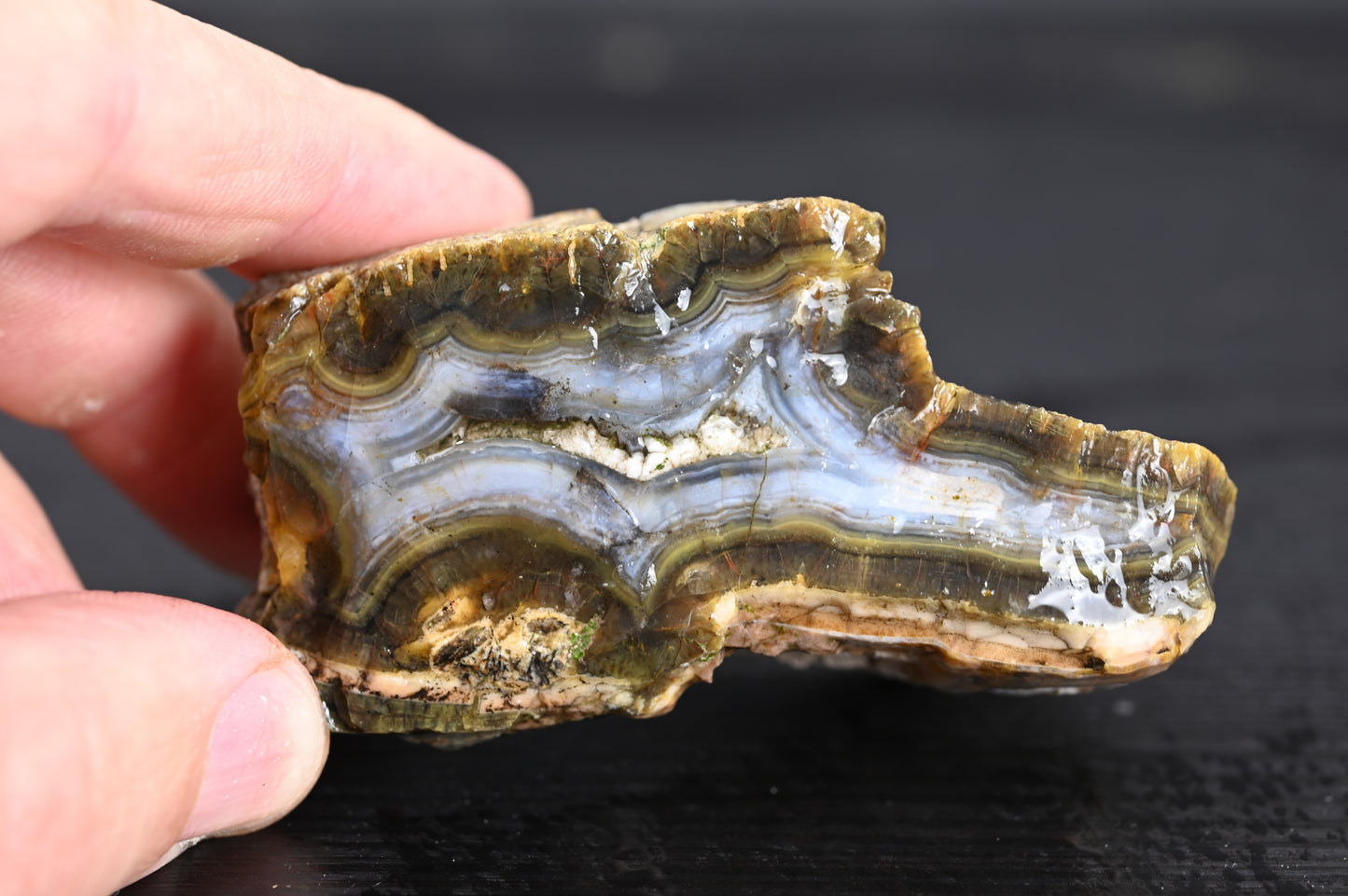 Türkisches Achatisiertes Holz für 35€ pro Stück