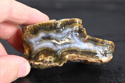 Türkisches Achatisiertes Holz für 35€ pro Stück