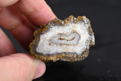 Türkisches Achatisiertes Holz für 35€ pro Stück