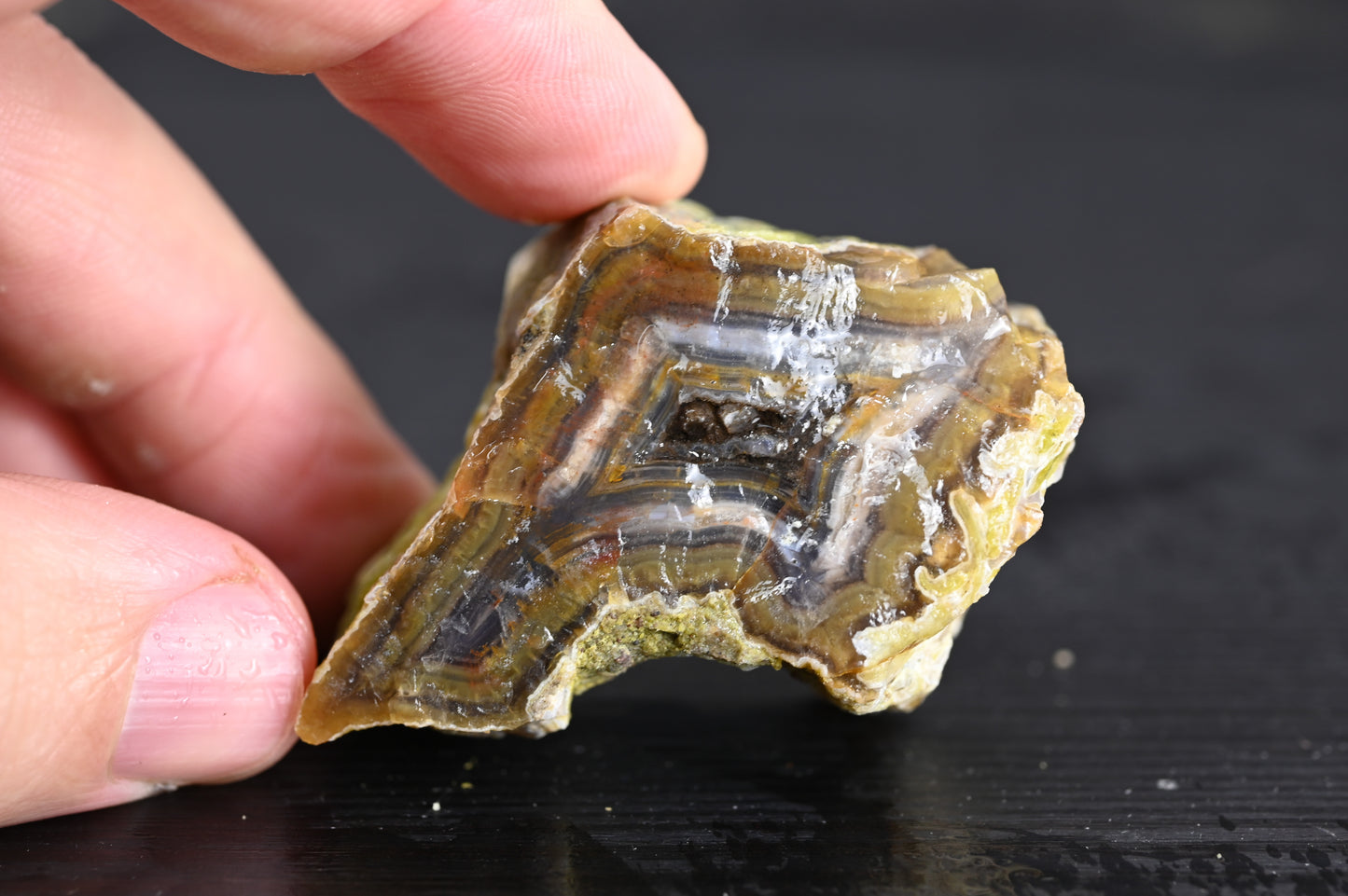 Türkisches Achatisiertes Holz für 35€ pro Stück