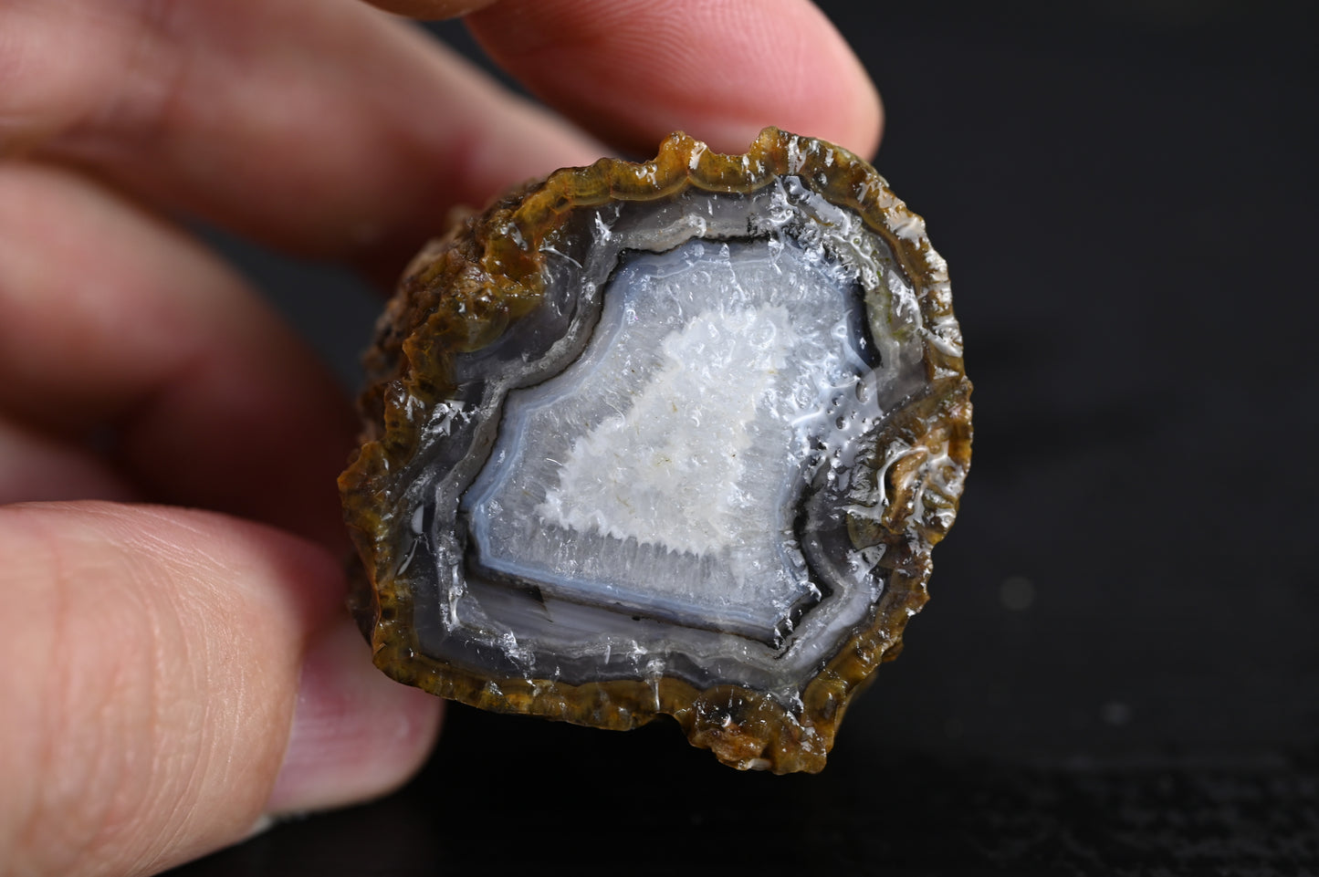 Türkisches Achatisiertes Holz für 35€ pro Stück