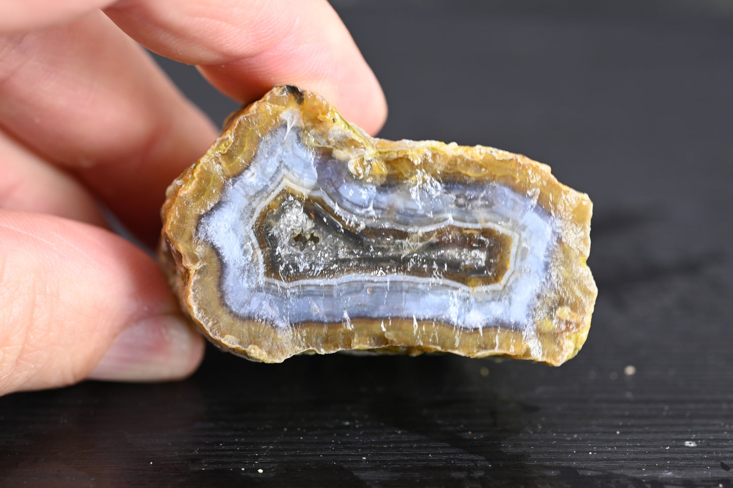 Türkisches Achatisiertes Holz für 35€ pro Stück