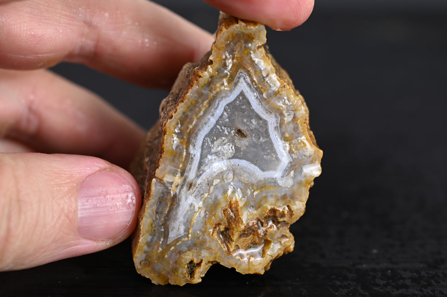 Türkisches Achatisiertes Holz für 35€ pro Stück