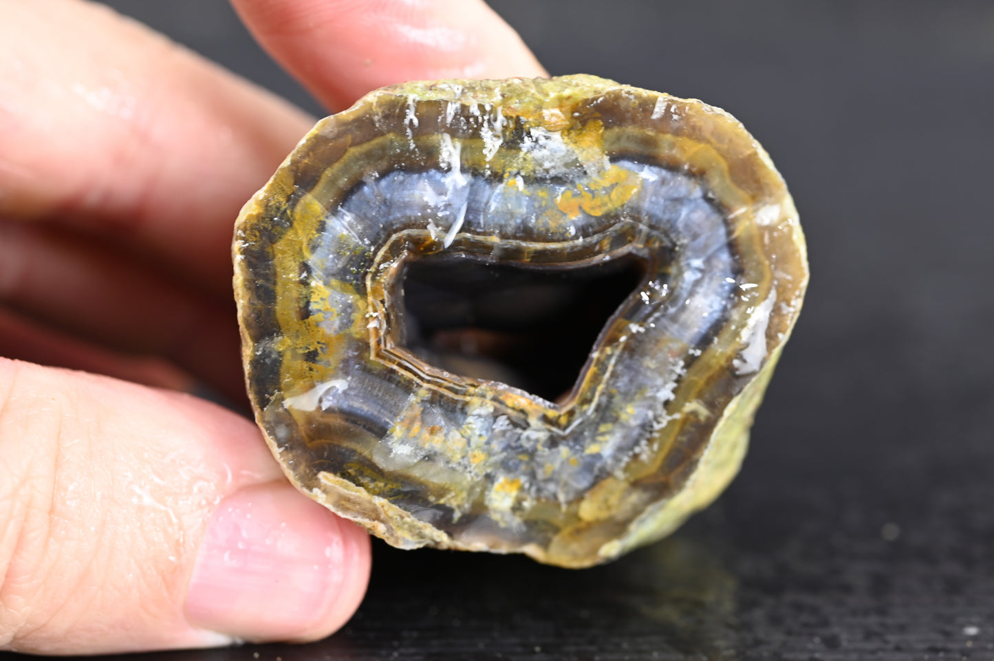 Türkisches Achatisiertes Holz für 35€ pro Stück