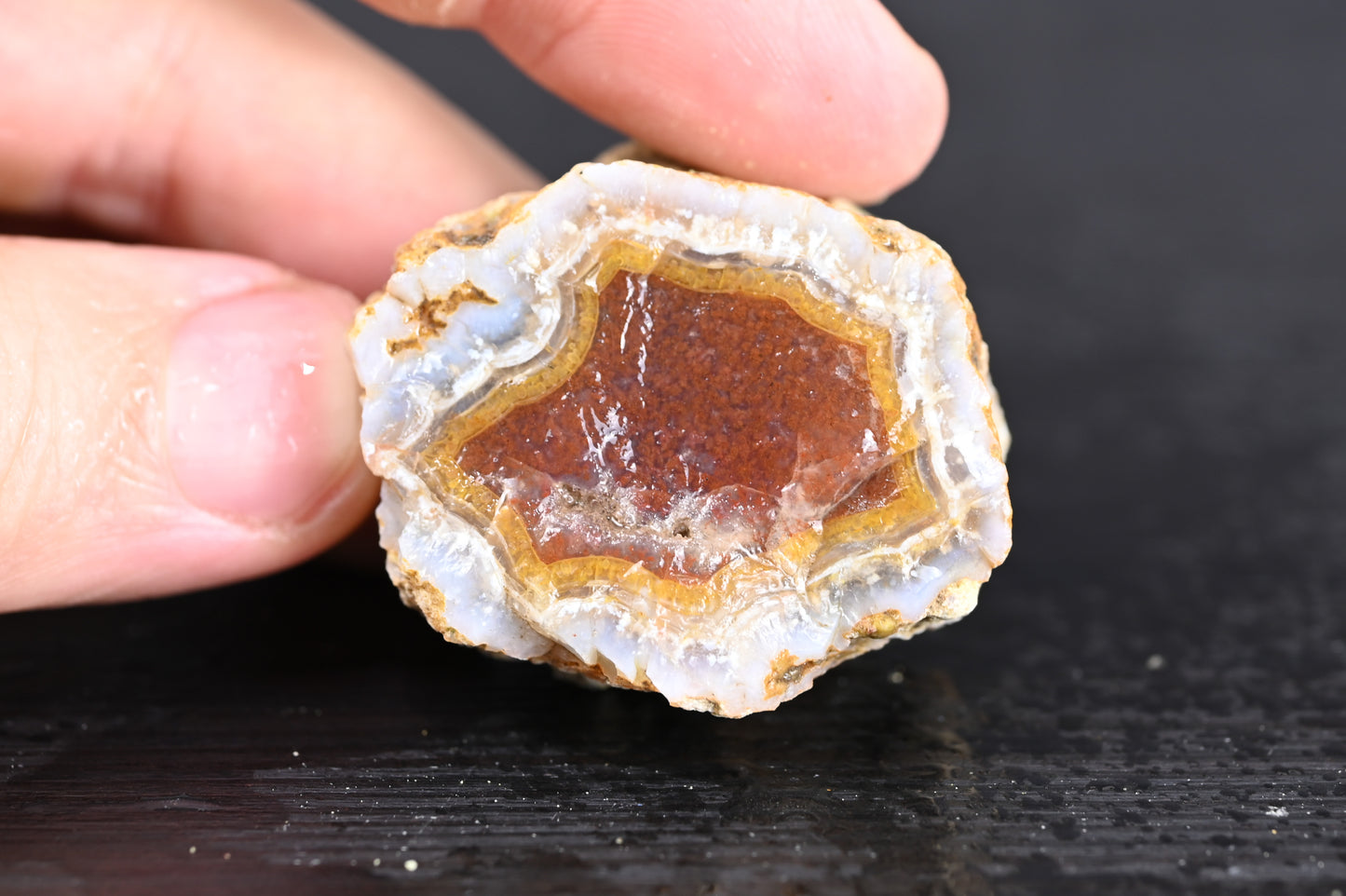 Türkisches Achatisiertes Holz für 35€ pro Stück