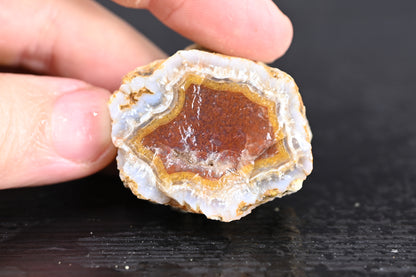 Türkisches Achatisiertes Holz für 35€ pro Stück