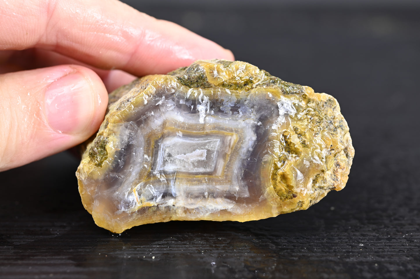 Türkisches Achatisiertes Holz für 35€ pro Stück