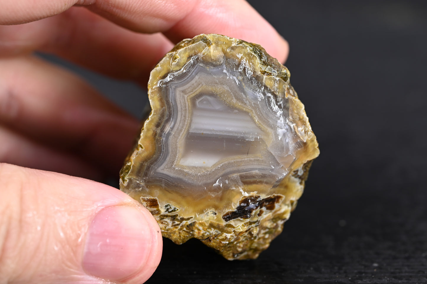 Türkisches Achatisiertes Holz für 35€ pro Stück