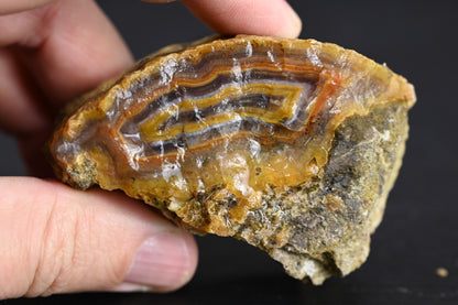 Türkisches Achatisiertes Holz für 50€ pro Stück