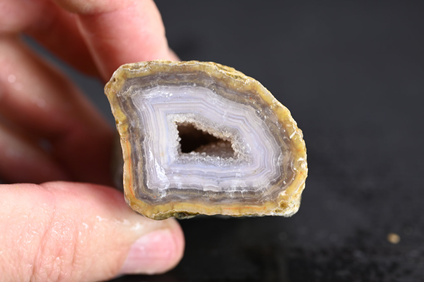 Türkisches Achatisiertes Holz für 50€ pro Stück