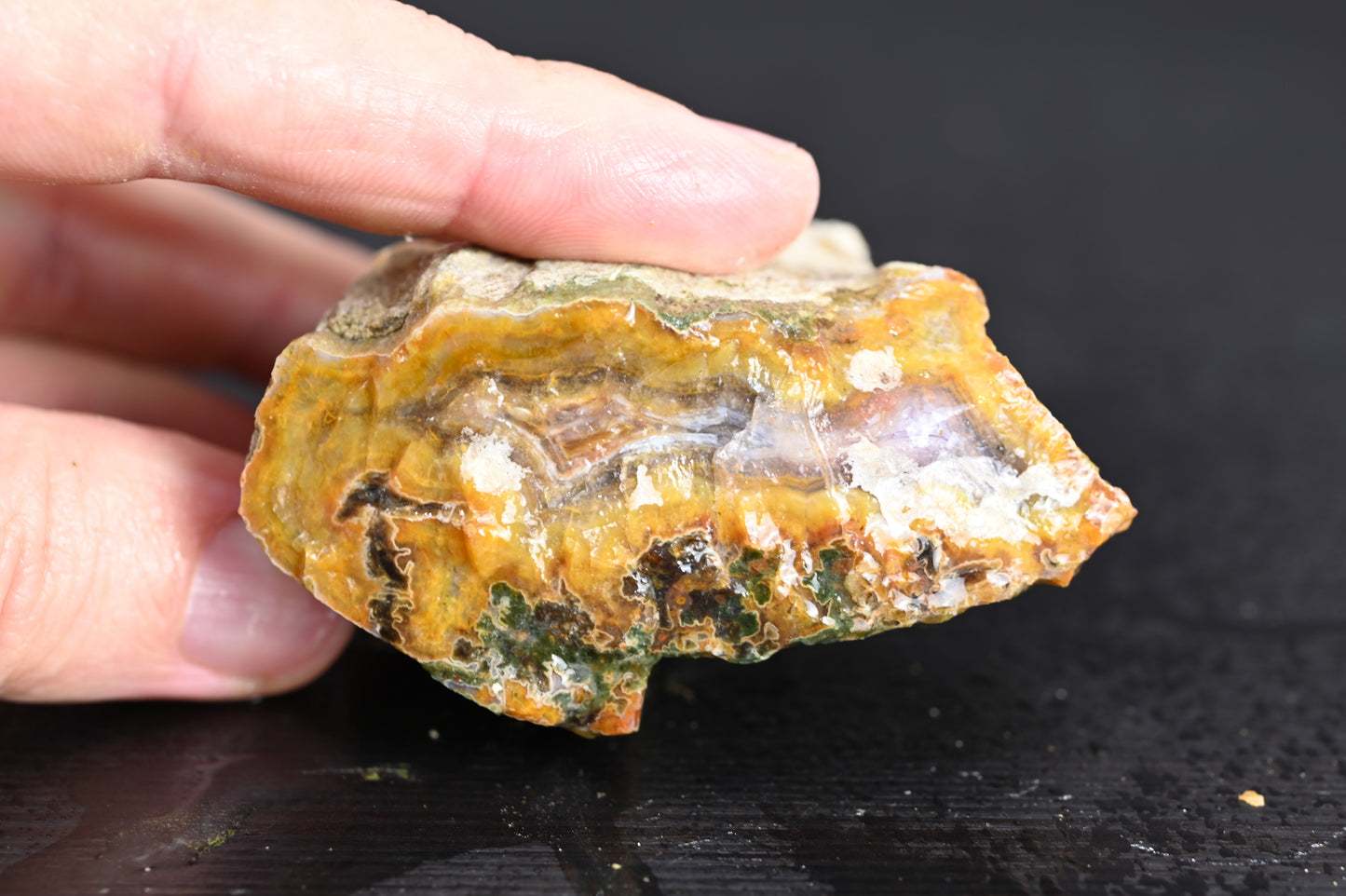 Türkisches Achatisiertes Holz für 50€ pro Stück