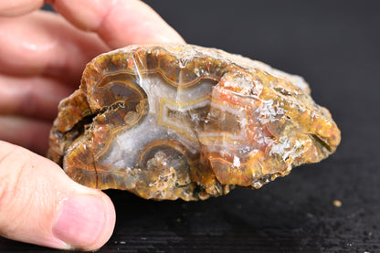 Türkisches Achatisiertes Holz für 50€ pro Stück