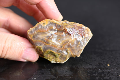 Türkisches Achatisiertes Holz für 50€ pro Stück